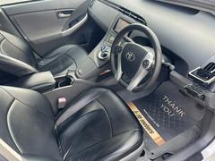 �ץꥦ�� �ӡ��ʥӡ��ϥǥ����¥���顡�ţԣ� 0705931A30251222W001 6