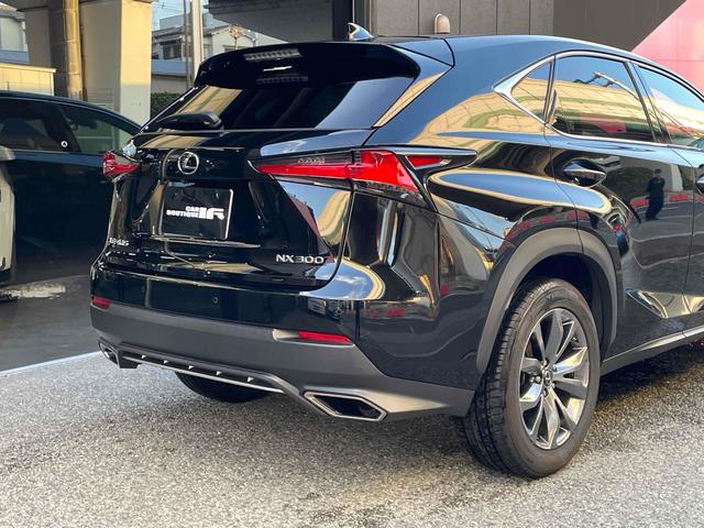 ＮＸ ＮＸ３００　Ｆスポーツ　ドライブレコーダー　ＥＴＣ　全周囲カメラ　オートクルーズコントロール　レーンアシスト　パワーシート　衝突被害軽減システム　サンルーフ　ナビ　オートマチックハイビーム　ＬＥＤヘッドランプ　電動リアゲート（13枚目）