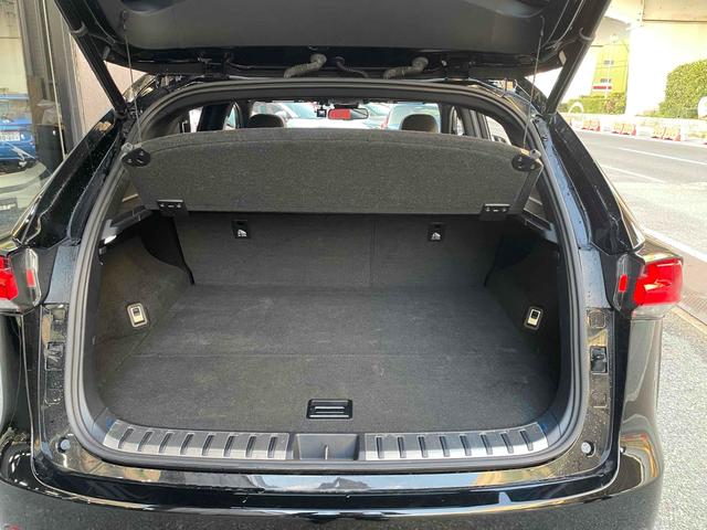 ＮＸ ＮＸ３００　Ｆスポーツ　ドライブレコーダー　ＥＴＣ　全周囲カメラ　オートクルーズコントロール　レーンアシスト　パワーシート　衝突被害軽減システム　サンルーフ　ナビ　オートマチックハイビーム　ＬＥＤヘッドランプ　電動リアゲート（44枚目）