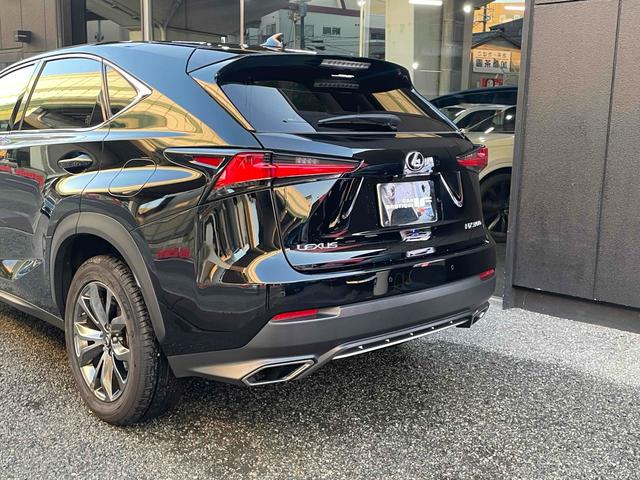 ＮＸ ＮＸ３００　Ｆスポーツ　ドライブレコーダー　ＥＴＣ　全周囲カメラ　オートクルーズコントロール　レーンアシスト　パワーシート　衝突被害軽減システム　サンルーフ　ナビ　オートマチックハイビーム　ＬＥＤヘッドランプ　電動リアゲート（48枚目）