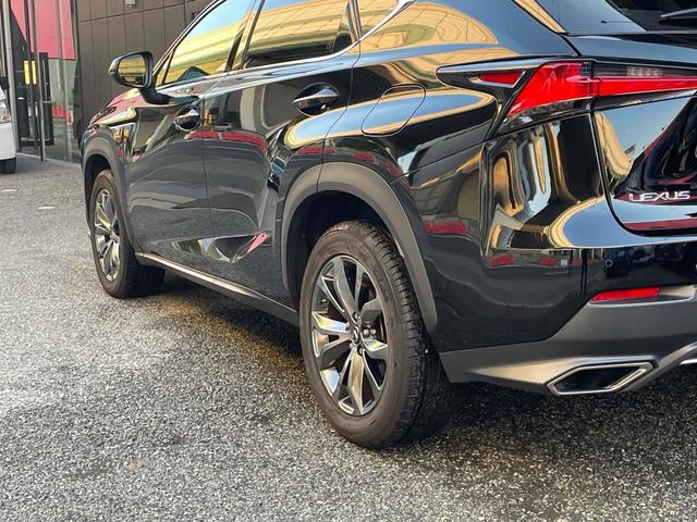 ＮＸ ＮＸ３００　Ｆスポーツ　ドライブレコーダー　ＥＴＣ　全周囲カメラ　オートクルーズコントロール　レーンアシスト　パワーシート　衝突被害軽減システム　サンルーフ　ナビ　オートマチックハイビーム　ＬＥＤヘッドランプ　電動リアゲート（49枚目）