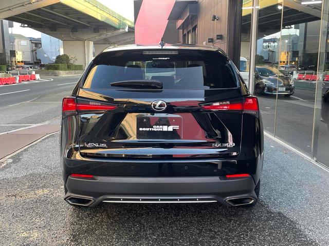 ＮＸ ＮＸ３００　Ｆスポーツ　ドライブレコーダー　ＥＴＣ　全周囲カメラ　オートクルーズコントロール　レーンアシスト　パワーシート　衝突被害軽減システム　サンルーフ　ナビ　オートマチックハイビーム　ＬＥＤヘッドランプ　電動リアゲート（50枚目）