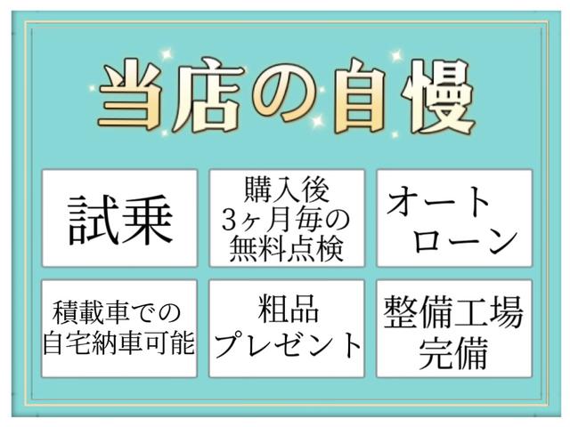 アトレーワゴン 　福祉車輌　ドライブレコーダー　ＥＴＣ　バックカメラ　ナビ　ＴＶ　衝突被害軽減システム　両側スライドドア　キーレスエントリー　アイドリングストップ　電動格納ミラー　オートマチックハイビーム（5枚目）