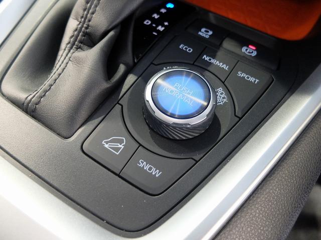 ＲＡＶ４ アドベンチャー　４ＷＤ　純正ナビフルセグ　デジタルインナーミラ　ビルトＥＴＣ２．０　革ベンチレーション＆パワーシートヒーター　パワーバックドア　ステアリングヒーター　ＬＥＤオートライト　オートハイビーム　ルーフレール（11枚目）