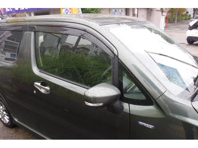 サイドバイザー付です