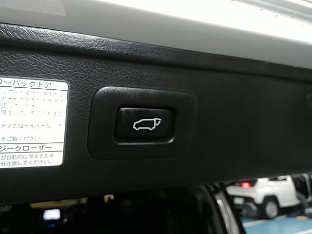 アルファード 2.5S Cパッケージ ワンオーナー サンルーフ 革シート キーレス フルセグ ナビ&TV 18アルミホイール 乗車定員7人 エアバッグ オートマ フル装備 ETC バックカメラ スマートキー(31枚目)