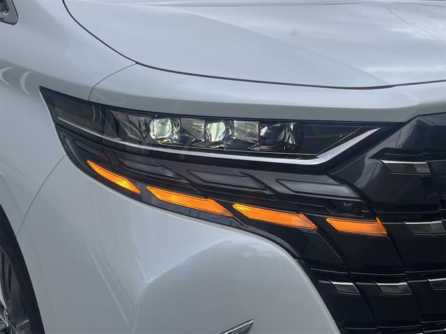 アルファード Z サンルーフ 革シート キーレス フルセグ ナビ&TV 18アルミホイール 乗車定員7人 エアバッグ オートマ フル装備 ETC バックカメラ スマートキー(21枚目)