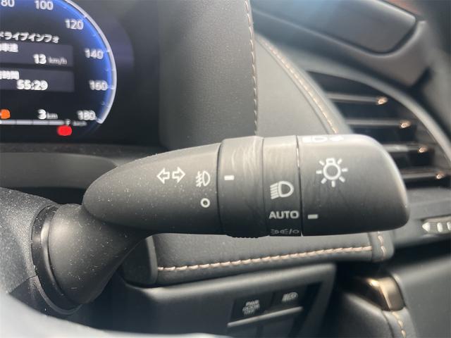 アルファード Z サンルーフ 革シート キーレス フルセグ ナビ&TV 18アルミホイール 乗車定員7人 エアバッグ オートマ フル装備 ETC バックカメラ スマートキー(47枚目)