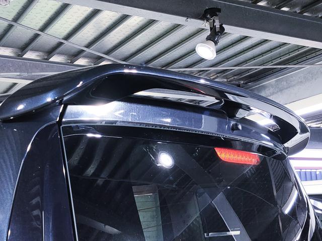 �X�|�[�e�B�[�Ȉ�ۂ�^���郋�[�t�G���h�X�|�C���[�����I