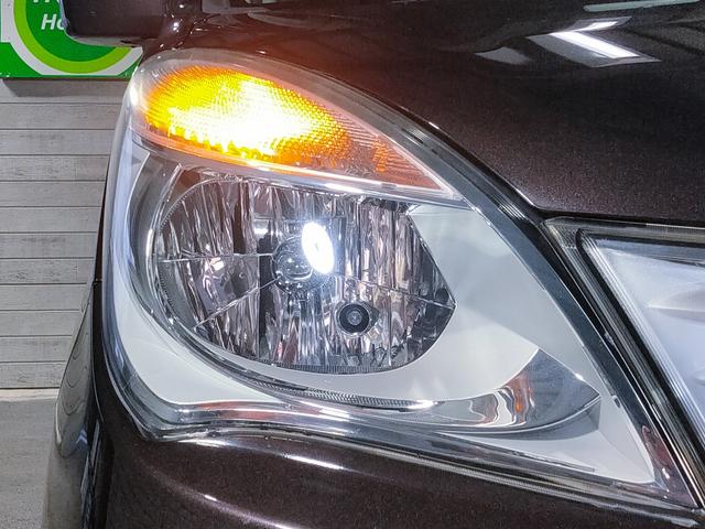 �N���A�����Y�w�b�h���C�g��