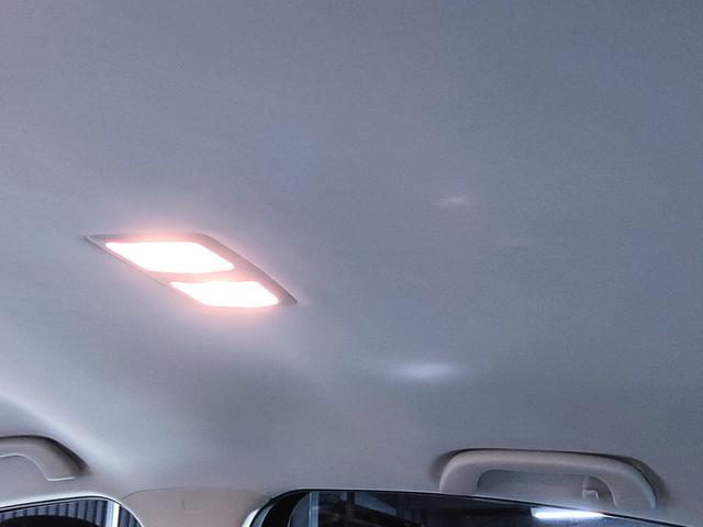 ���[�t���C�j���O�̏�Ԃ��ǍD�ł���