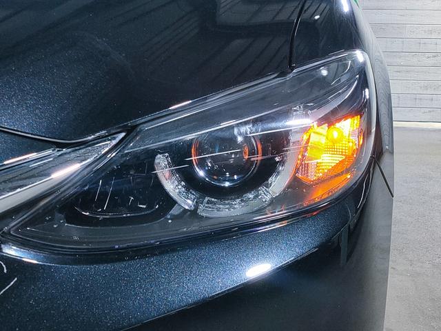 �N���A�����Y�k�d�c�w�b�h���C�g�����t�H�O�����v��