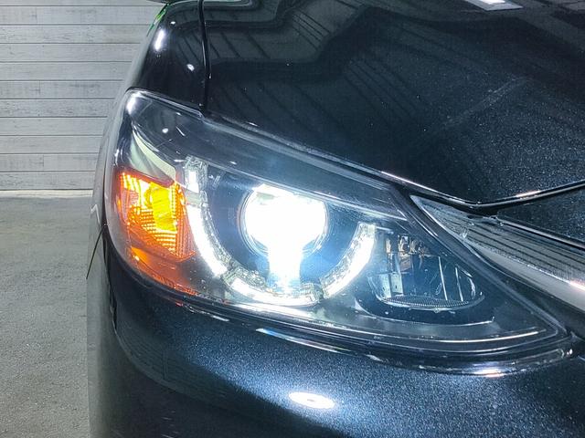 �N���A�����Y�k�d�c�w�b�h���C�g�����t�H�O�����v��