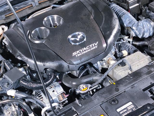 �󏭂ȂU�l�s�f�B�[�[���^�[�{���f����