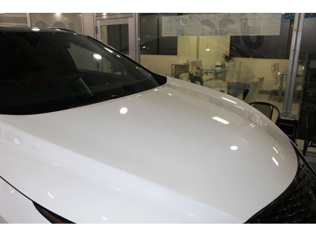 RX RX300 Fスポーツ☆ユーザー買取1オナ禁煙車☆R2後期型 MOPパノラマルーフ/ルーフレール・360°モニター☆純SDナビ/プレミアムサウンドDTV・Blu-ray・スマホ連携☆赤革スポーツシート電動ヒーター&エアシート☆セーフティシステム+BSM・HUD(53枚目)
