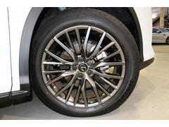 �ң� �ңأ��������ƥ��ݡ��ġ��桼������裱���ʶر�֡��ң���������ͣϣХѥΥ�ޥ롼�ա��롼�ե졼�롡���������˥�������ӣĥʥ� 0706093A30251101W002 6