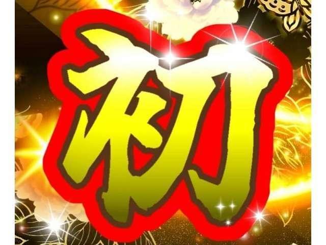 �I�[�g���[���͒��ÎԂ́A�����������N���Q�D�U������A�����O�~�A�X�U��i�W�N�j�܂łn�j�ł��B���x�����@�̂����k�E������͂��C�y�ɂ��₢���킹�������B�I�[�g���[���ɂ͐R�����K�v�ƂȂ�܂�