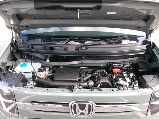 Ｎ－ＶＡＮ ファン（44枚目）