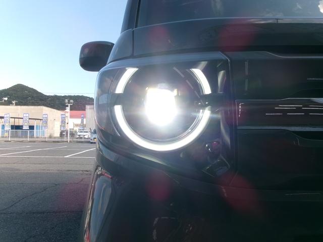 Ｎ－ＶＡＮ ファン（48枚目）