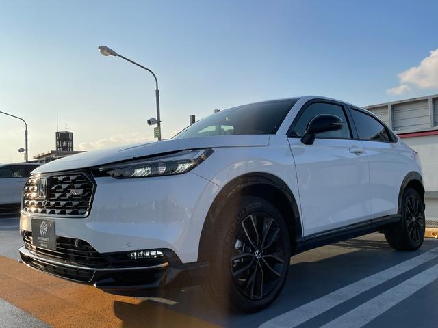 �Z�����J�A�~�᎞�ȂǁA�w�b�h���C�g�����ł͎��E�������󋵂ŁA�H�ʂ��Ƃ炵�A��Q����H�ʏ󋵂�c�����₷������t�H�O�����v�𑕔�