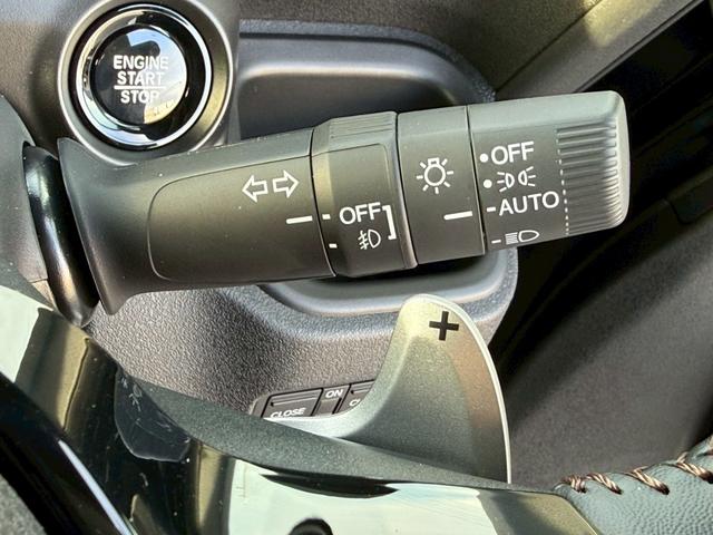 �X�e�A�����O�E���ɂ́A�I�[�g���C�g���샌�o�[�𑕔���