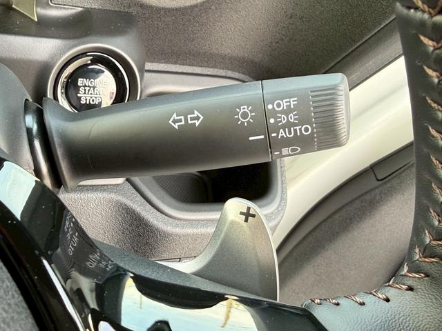 �X�e�A�����O�E���ɂ́A�I�[�g���C�g���샌�o�[�𑕔���