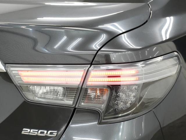 マークＸ ２５０Ｇ　ＲＤＳバンパー／モデリスタフロントスポイラー／車高調／ＷＯＲＫＳＣＨＷＥＲＴＳＧ２１９インチＡＷ／ＥＴＣ／ドライブレコーダー／カロッツェリアサイバーナビ／Ｂｌｕｅｔｏｏｔｈ／バックカメラ／パワーシート（48枚目）