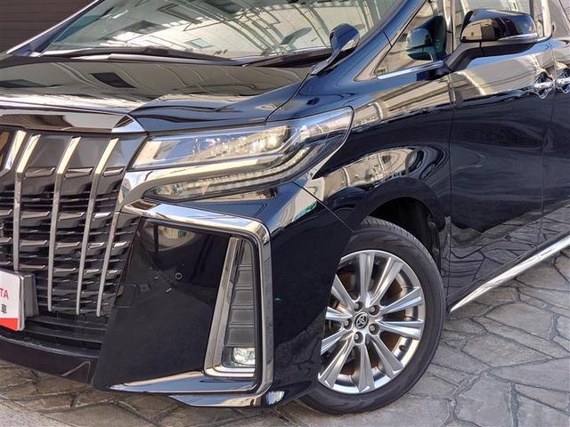 アルファード 2.5S タイプゴールドII ドライブレコーダ カーナビ LEDランプ Bカメラ スマートキ AC100V 盗難防止システム ワンオーナー ダブルエアコン 助手席エアバッグ ETC オートクルーズ 3列シート メモリーナビ ABS(23枚目)