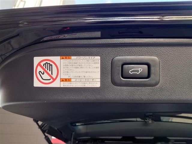 アルファード 2.5S タイプゴールドII ドライブレコーダ カーナビ LEDランプ Bカメラ スマートキ AC100V 盗難防止システム ワンオーナー ダブルエアコン 助手席エアバッグ ETC オートクルーズ 3列シート メモリーナビ ABS(24枚目)