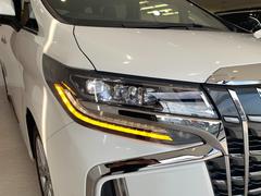 ̣ţĥإåɥ饤ȡ󥷥륦󥫡ή륦󥫡դ 6