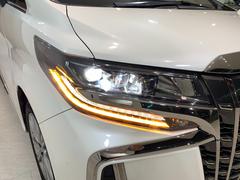 ̣ţĥإåɥ饤ȡ󥷥륦󥫡ή륦󥫡դ 5