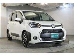 ������ �ڡ������쥹����ȥ꡼���ꥢ����顡���ͷڸ��֥졼���������� 0706201A20260122T001 3