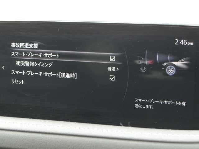 �ԗ��ɓ��ڂ��ꂽ�Z���T�[�ƃJ�����őΏە������m���A���ԂƂ��Փ˂���\��������ƃu���[�L��������܂��B�����̂������ʂŁA�Փ˂����m�����ۂɃu���[�L��������邱�ƂŁA�Փ˂̉����Ռ����y�����܂��B