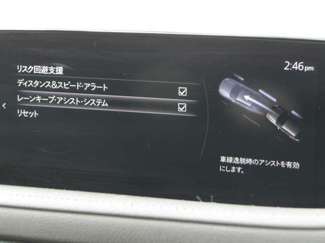 ���[���L�[�v�A�V�X�g�Ƃ́A�Ԑ���E����x���V�X�e���ł��B���Ԃ��Ԑ������E����\��������ƁA�k�`�r���Ԑ�����̈�E���������悤�Ƀn���h��������A�V�X�g���܂��B