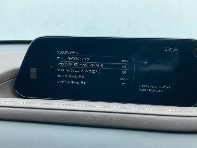 �A�_�v�e�B�u�k�d�c�w�b�h���C�g�B��ԑ��s���ɐ�s�Ԃ�Ό��Ԃ̏󋵂��N���}�����f�B�w�b�h�����v�̏Ǝ˔͈͂▾�邳�������I�ɕω������܂��B