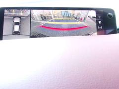 ͣڣģեȥХå ӡġ󥰡ҥǥ⥫åסر 0706437A20251124Z001 5