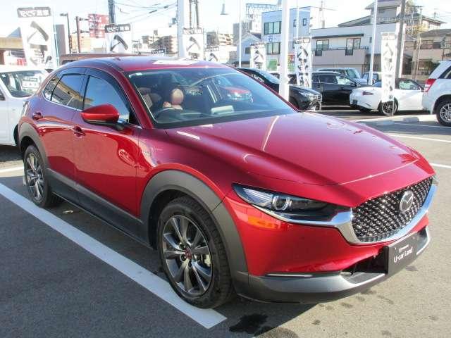 CX-30 2.0 20S 100周年 特別記念車 2020 WCOTY 20S100周年2020WCOTY記念車(5枚目)