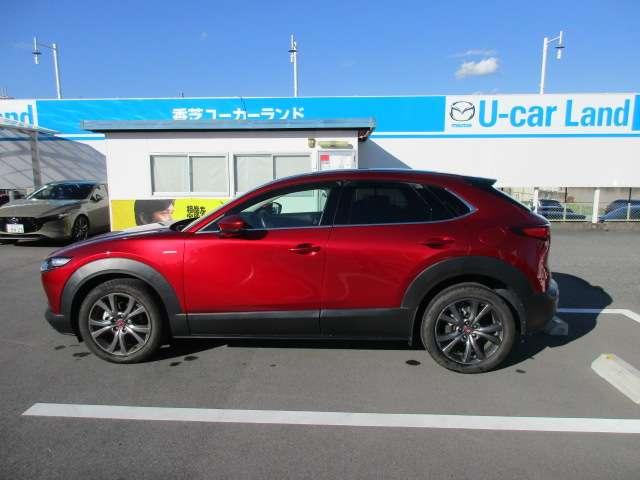 CX-30 2.0 20S 100周年 特別記念車 2020 WCOTY 20S100周年2020WCOTY記念車(9枚目)