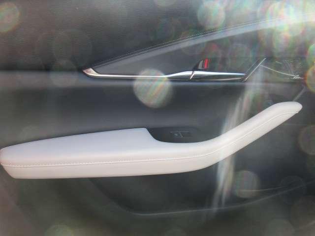 CX-30 2.0 20S 100周年 特別記念車 2020 WCOTY 20S100周年2020WCOTY記念車(19枚目)