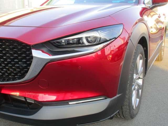 CX-30 2.0 20S プロアクティブ ツーリングセレクション 前後ドライブレコーダー付 ETC付(10枚目)