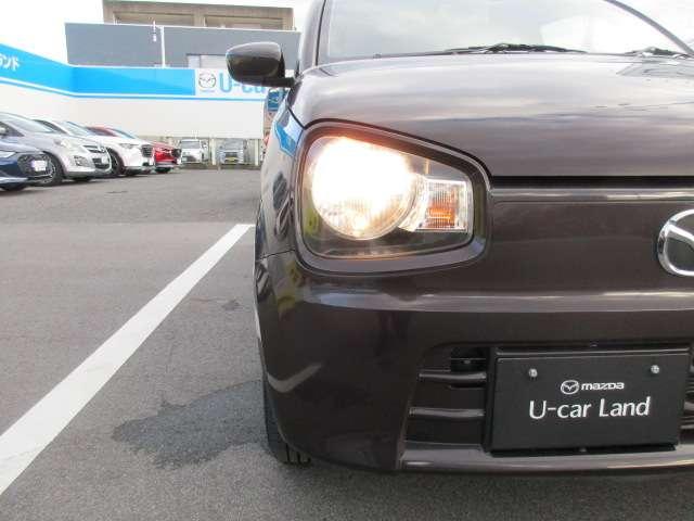 �w�b�h���C�g�̓n���Q���^�C�v���̗p���Ă���܂���