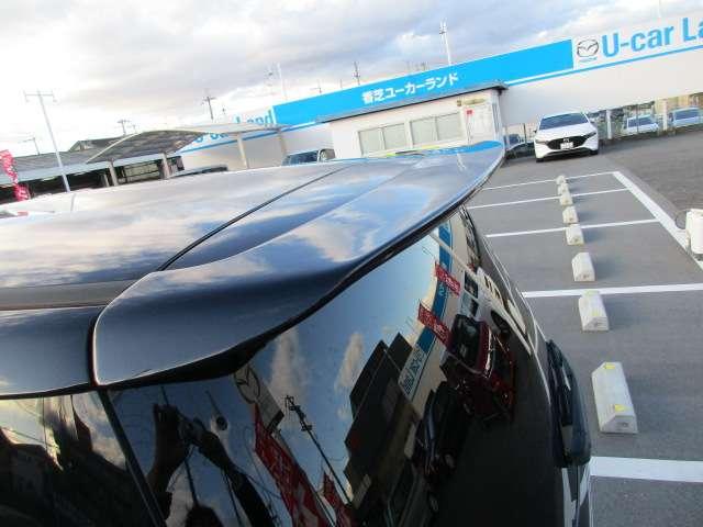 ���[�t�X�|�C���[�t��