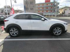 �����ȥ��������Υ��������󥹥ץ�󥰤��ɤ����˼ֹ⤬����Ƥޤ��� 3