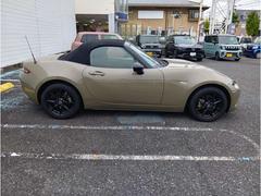 �����ɥ����� �ӥ��ڥ����ѥå����� 0706454A20251010Z001 4