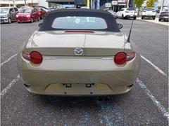 �����ɥ����� �ӥ��ڥ����ѥå����� 0706454A20251010Z001 6