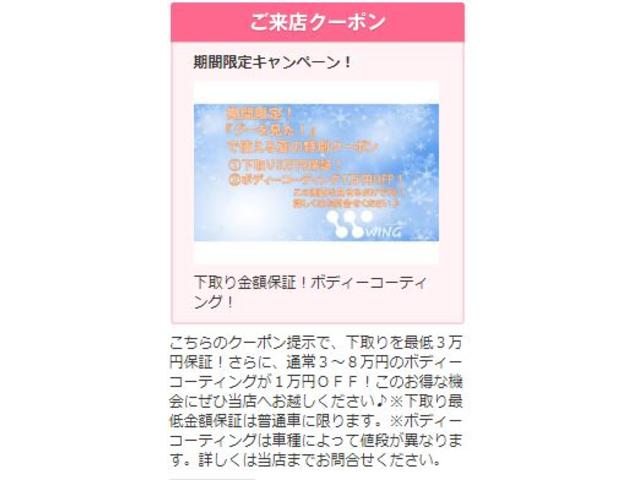 ワンオーナー　マリナーパッケージ　ＯＰ２１ＡＷ　ＨＤＤナビ(39枚目)