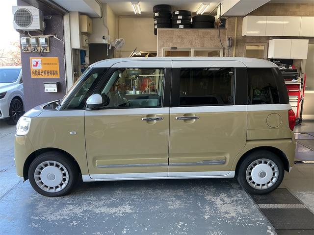 ムーヴキャンバス ストライプスG(5枚目)