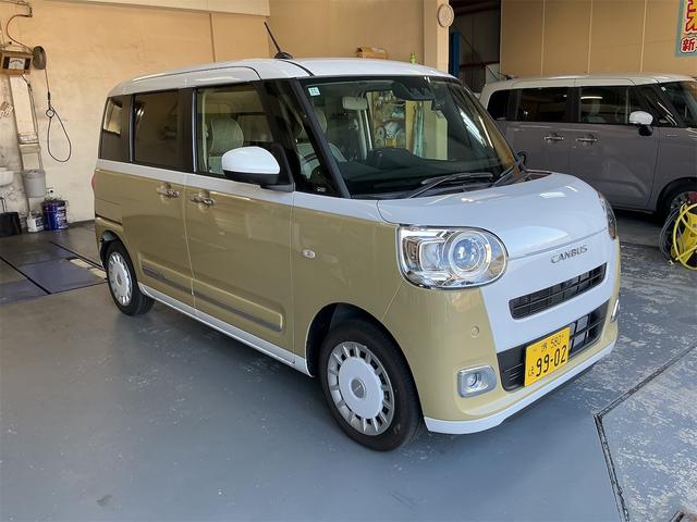 ムーヴキャンバス ストライプスG(6枚目)