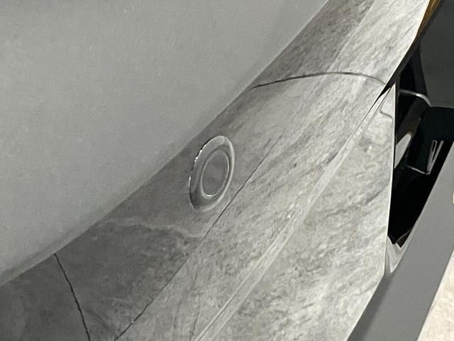 タント X 9型ディスプレイオーディオ フルセグ バックカメラ 衝突被害軽減ブレーキ コーナーセンサー 9型ディスプレイオーディオ フルセグ Bluetooth USB バックカメラ 左側電動スライドドア 前席シートヒーター LED スマートキー エコアイドル(37枚目)