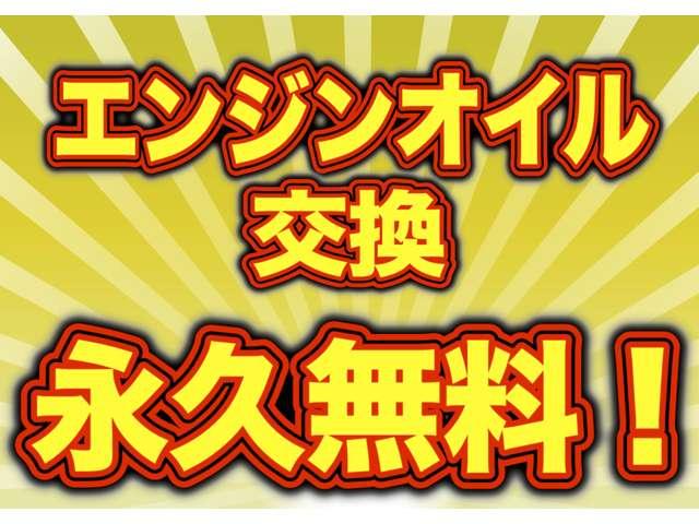 リミテッドエディションＶＲ　リミテッドカラー　４ＷＤ　ＡＴ　キーレス　電動格納ミラー　パワーステアリング　オートマチック　パワーウィンドウ　集中ロック(3枚目)